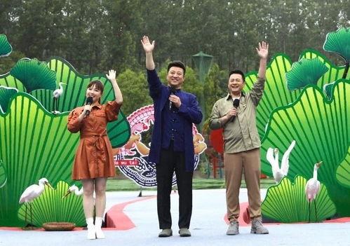 肥西女婿爆料视频最新网站,揭秘背后惊人真相